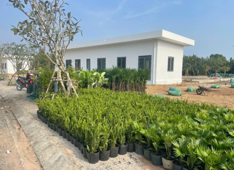 Cây xanh Ninh Thuận