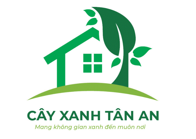 Công ty TNHH TM Đầu tư và Xây dựng Tân An