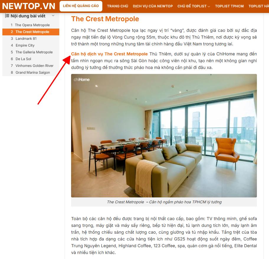 Đặt backlink tự nhiên trong bài viết guest post tại Newtop