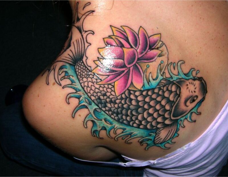 Cá chép hoa sen mang lại sự may mắn 