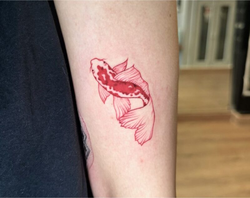 Hình xăm nhỏ hạn chế cảm giác đau cho người mới bắt đầu 