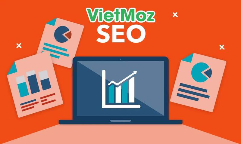 Dịch vụ SEO VietMoz