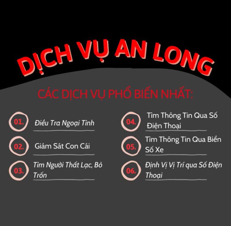 Công ty thám tử An Long