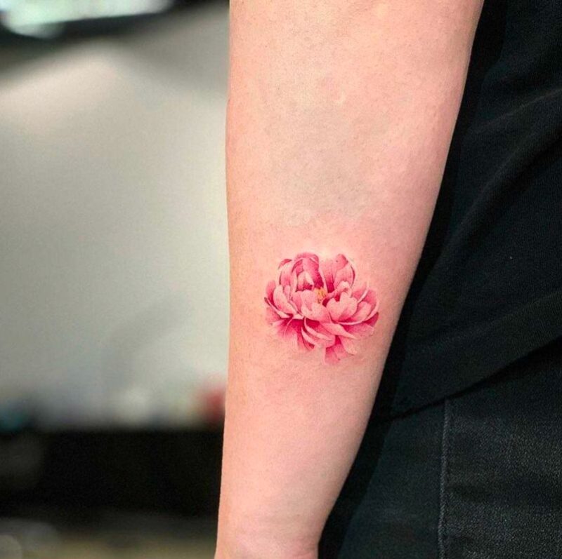 Hoa mẫu đơn mini có thể xăm nhiều vị trí