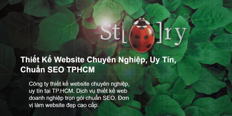 Cánh Cam - Công ty thiết kế web uy tín HCM