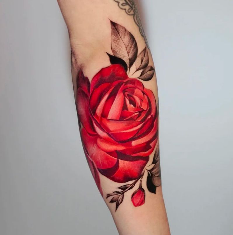 Màu đỏ của hoa hồng hể hiện cá tính, sự quyến rũ và bản lĩnh