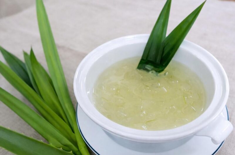 Yến chưng lá dứa không chỉ có hương vị thanh mát mà còn tốt cho sức khỏe