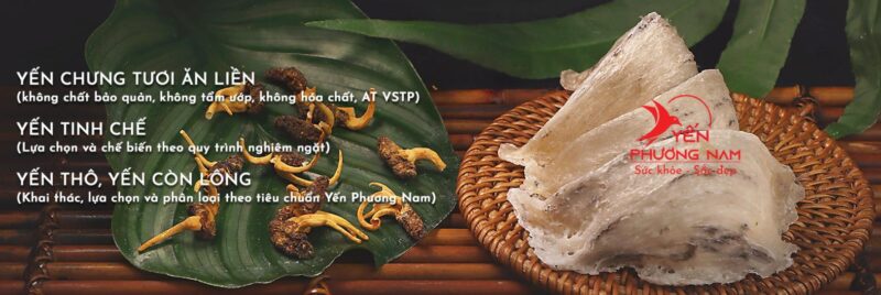 Yến sào Phương Nam