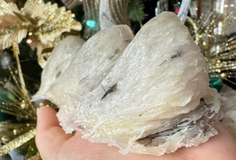 Cửa hàng yến sào Yến Nhà