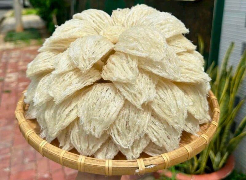 Yến sào Hoàng Gia - Lào Cai 