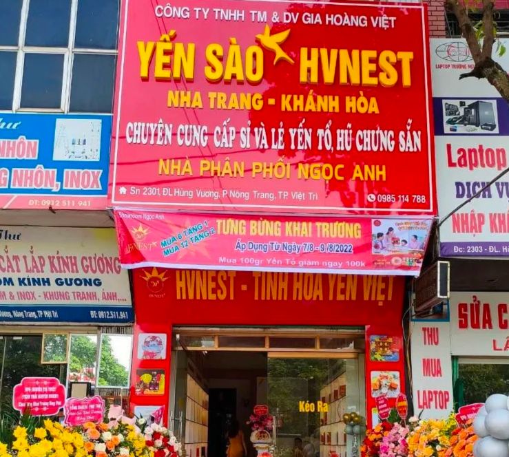 Yến sào Hoàng Việt