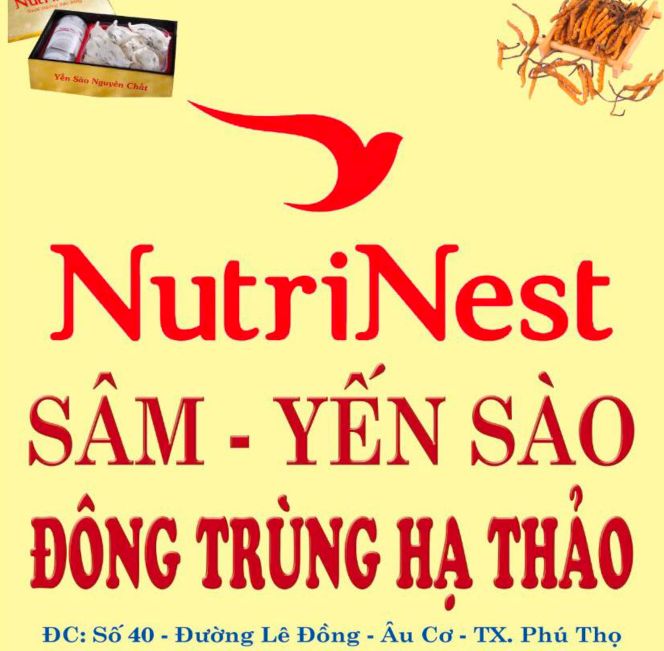 Sâm Yến Đông Trùng Hạ Thảo Trung Hằng